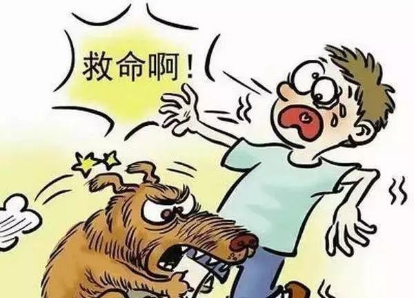 你的狗狗办证了么金华开发区开展犬只集中整治养狗需办证